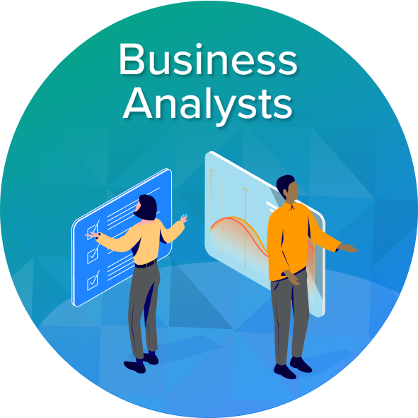 business analysts