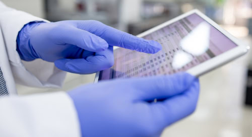 Simplify Audit Documentation by Leveraging the Power of an Itemized Database