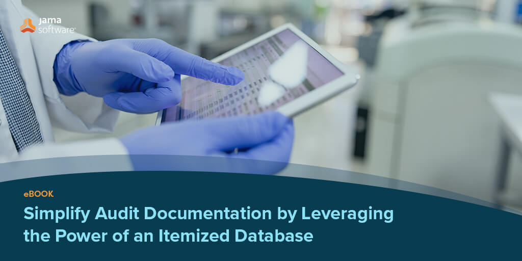 Simplify Audit Documentation by Leveraging the Power of an Itemized Database