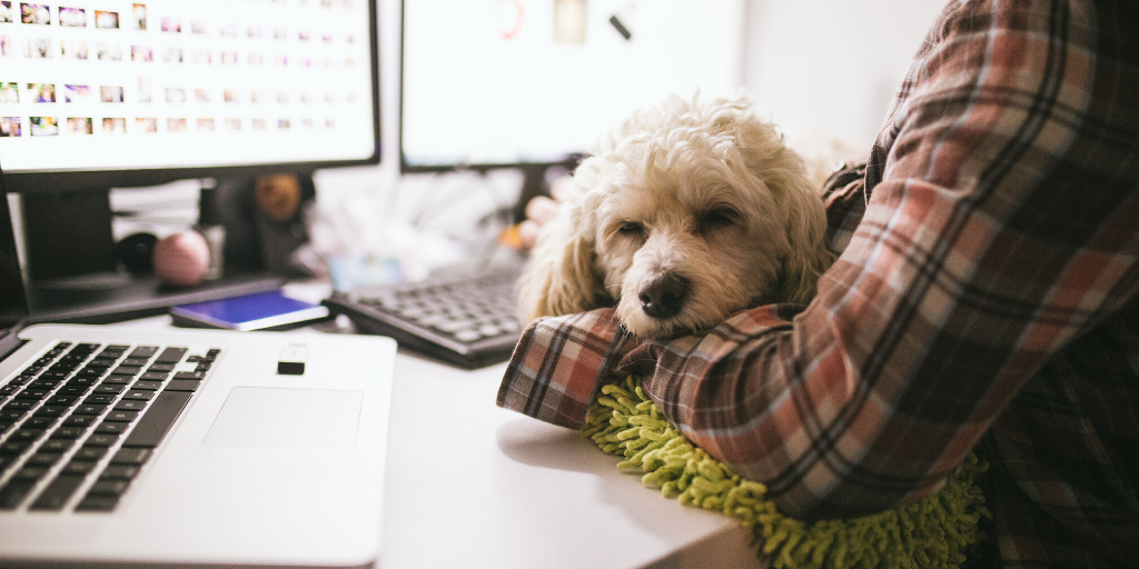 Update: How We’re Helping Engineering Teams Adjust to Remote Work