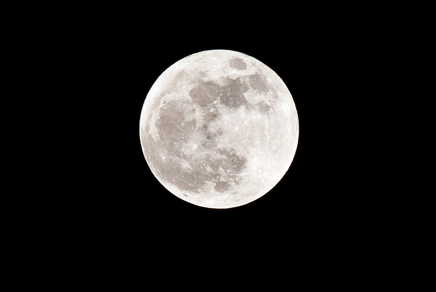 PTScientists are on a full time mission to the Moon